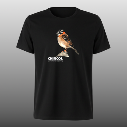 Pajaritos - Chincol- DTF