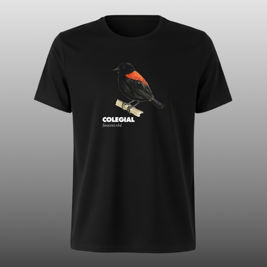 Pajaritos - Colegial - DTF