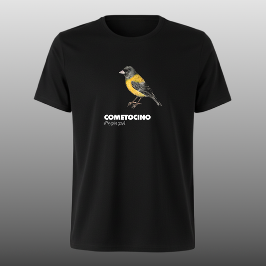 Pajaritos - Cometocino - DTF