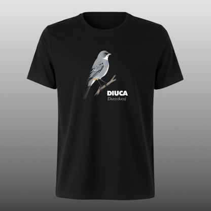 Pajaritos - Diuca - DTF
