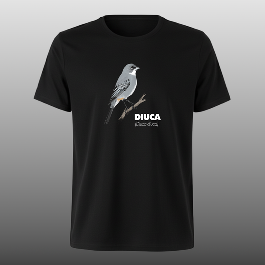 Pajaritos - Diuca - DTF