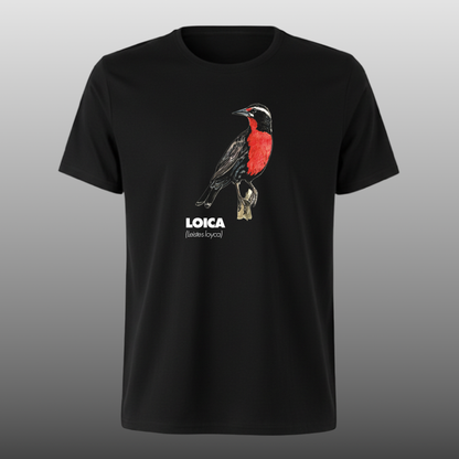 Pajaritos - Loica - DTF