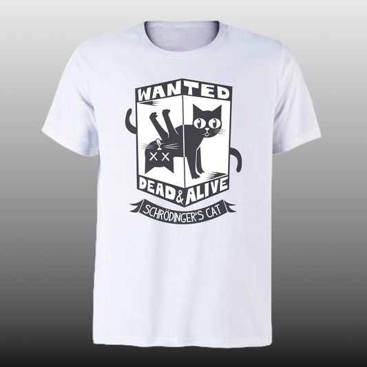 Gato de Schrödinger - DTF