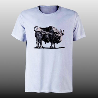 Picasso - Toro - DTF