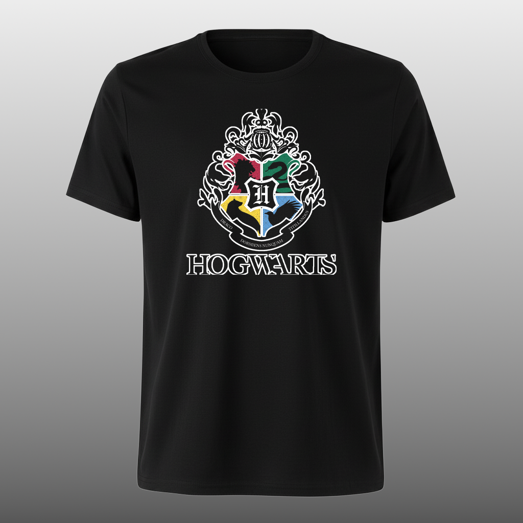 Harry Potter 2 - DTF