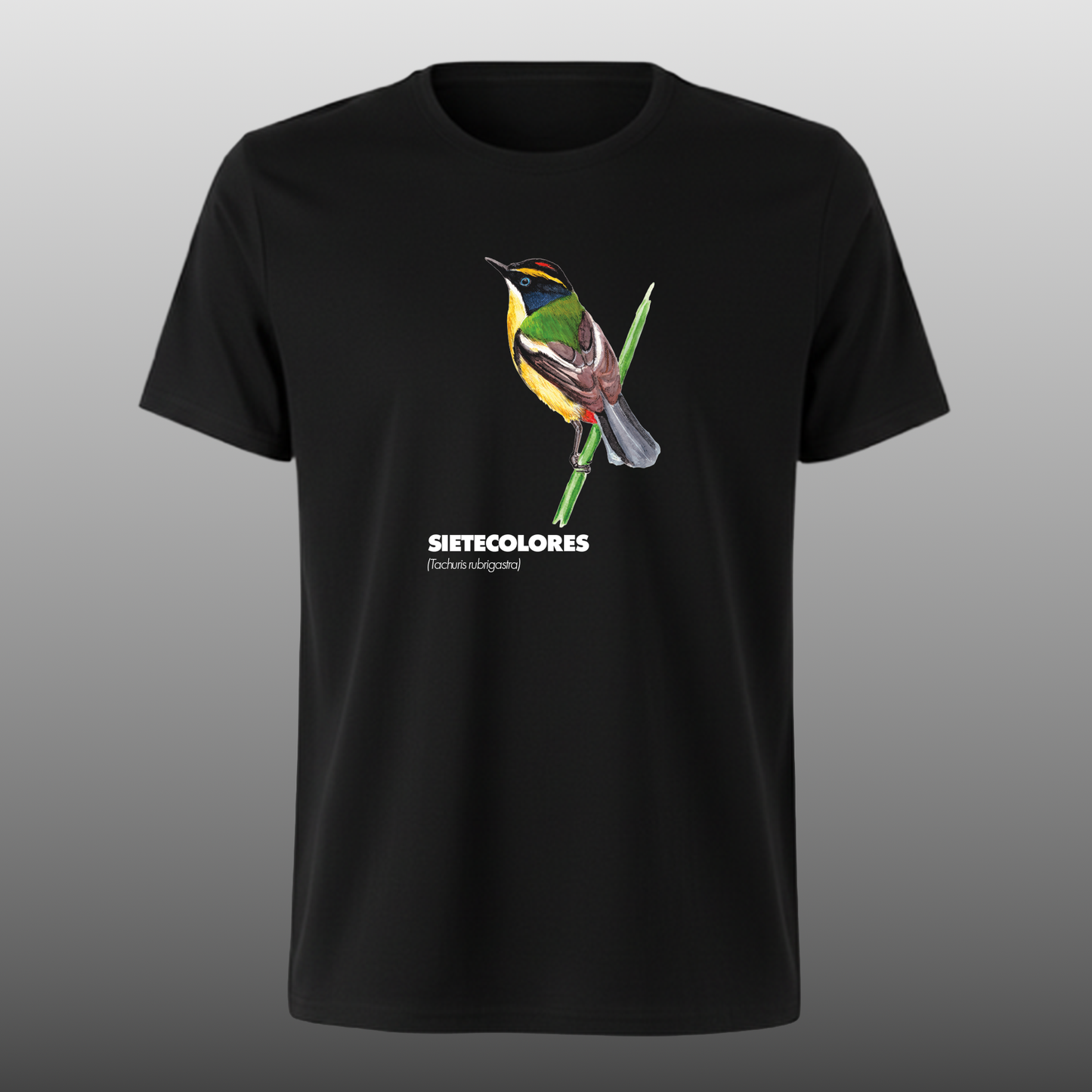 Pajaritos - Sietecolores - DTF