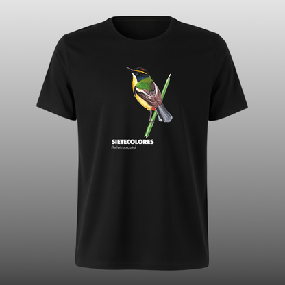Pajaritos - Sietecolores - DTF